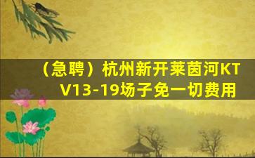 三沙酒吧招聘